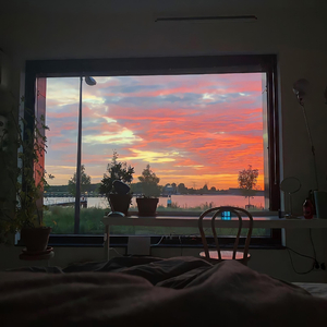 四川妇女bbbb的创业精神
