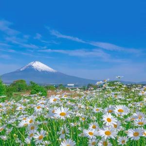 四川妇女bbbb的创业精神
