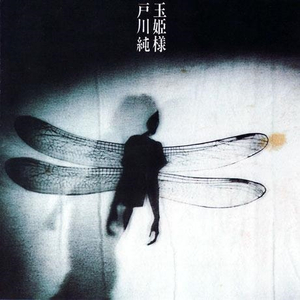 四川妇女bbbb的创业精神
